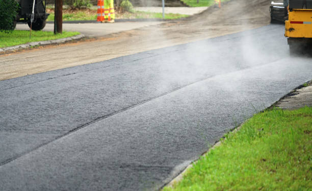 Best Local Driveway Pavers  in Mendota, CA
